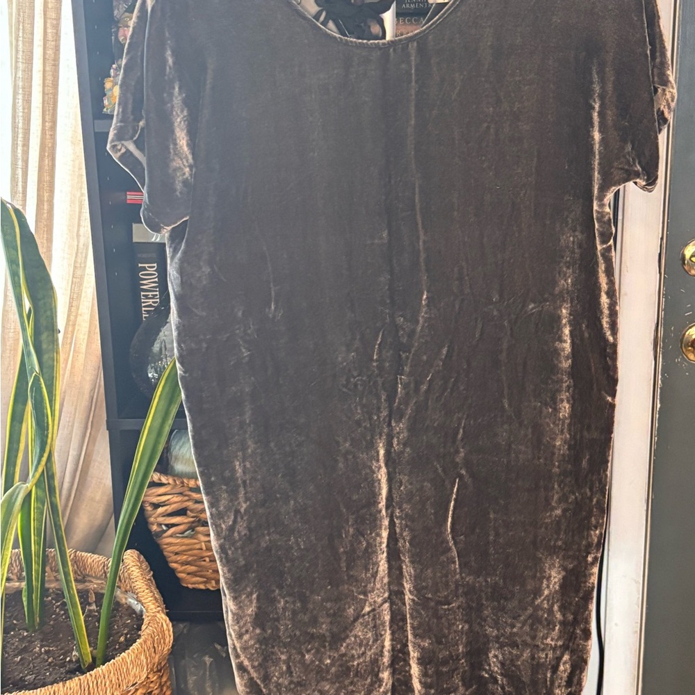 Madewell Velvet Dresd